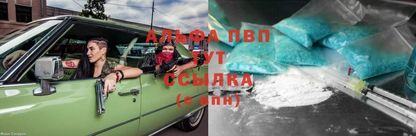 крисы Нея