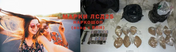 крисы Нея