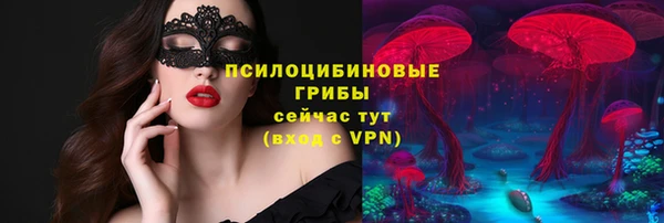 apvp Нефтекумск